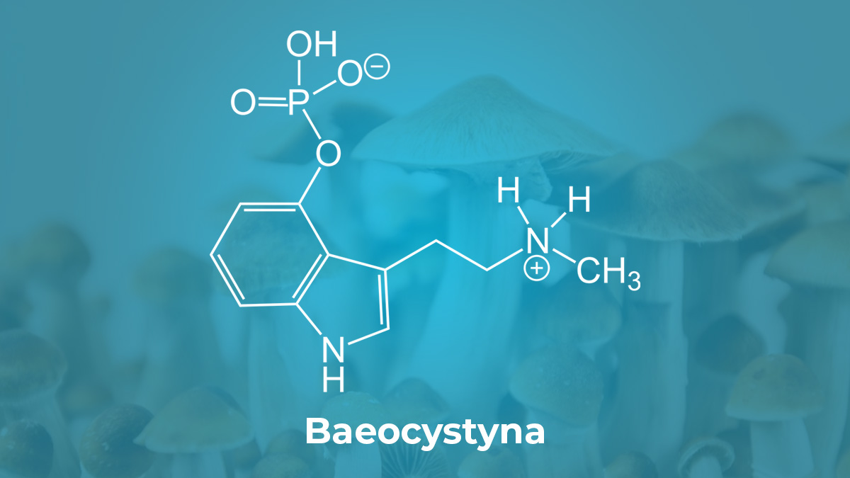 Baeocystyna i jej wzór chemiczny na tle grzybów psylocybinowych