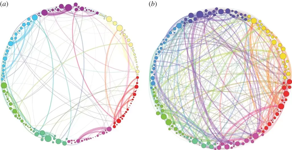 Na obrazie widzimy dwa kołowe wykresy sieci neuronowych mózgu, które przedstawiają połączenia między różnymi obszarami mózgu. Po lewej stronie (a) mamy wykres reprezentujący normalny stan mózgu bez wpływu substancji psychoaktywnych, z koloryzowanymi kropkami oznaczającymi różne sieci neuronowe i stosunkowo uporządkowane, delikatne linie łączące te punkty, co sugeruje standardowe połączenia między obszarami mózgu. Po prawej stronie (b) obserwujemy wykres mózgu pod wpływem psylocybiny, gdzie linie połączeń stają się gęstsze, bardziej skomplikowane i intensywne, co wskazuje na zwiększoną komunikację między obszarami mózgu. Intensywne kolory i skomplikowana sieć połączeń mogą symbolizować bardziej dynamiczny i mniej uporządkowany sposób komunikacji w mózgu, co może odpowiadać za unikalne doświadczenia sensoryczne wywołane przez psylocybinę.